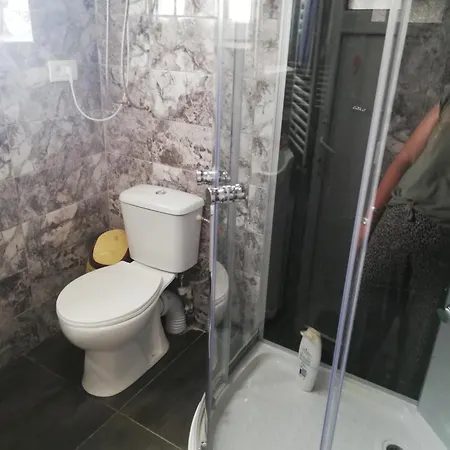בית אירוח Casuta De Vacanta *